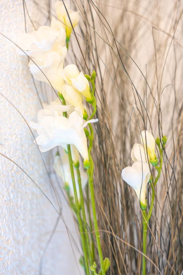 #1 Modernes Zimmer Mit Pool Und Garten メミンゲン エクステリア 写真