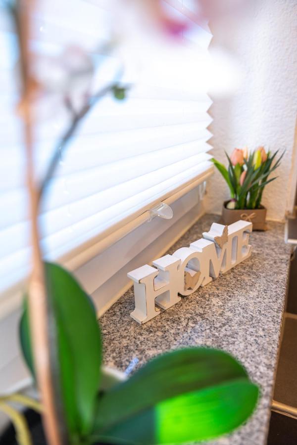 #1 Modernes Zimmer Mit Pool Und Garten メミンゲン エクステリア 写真