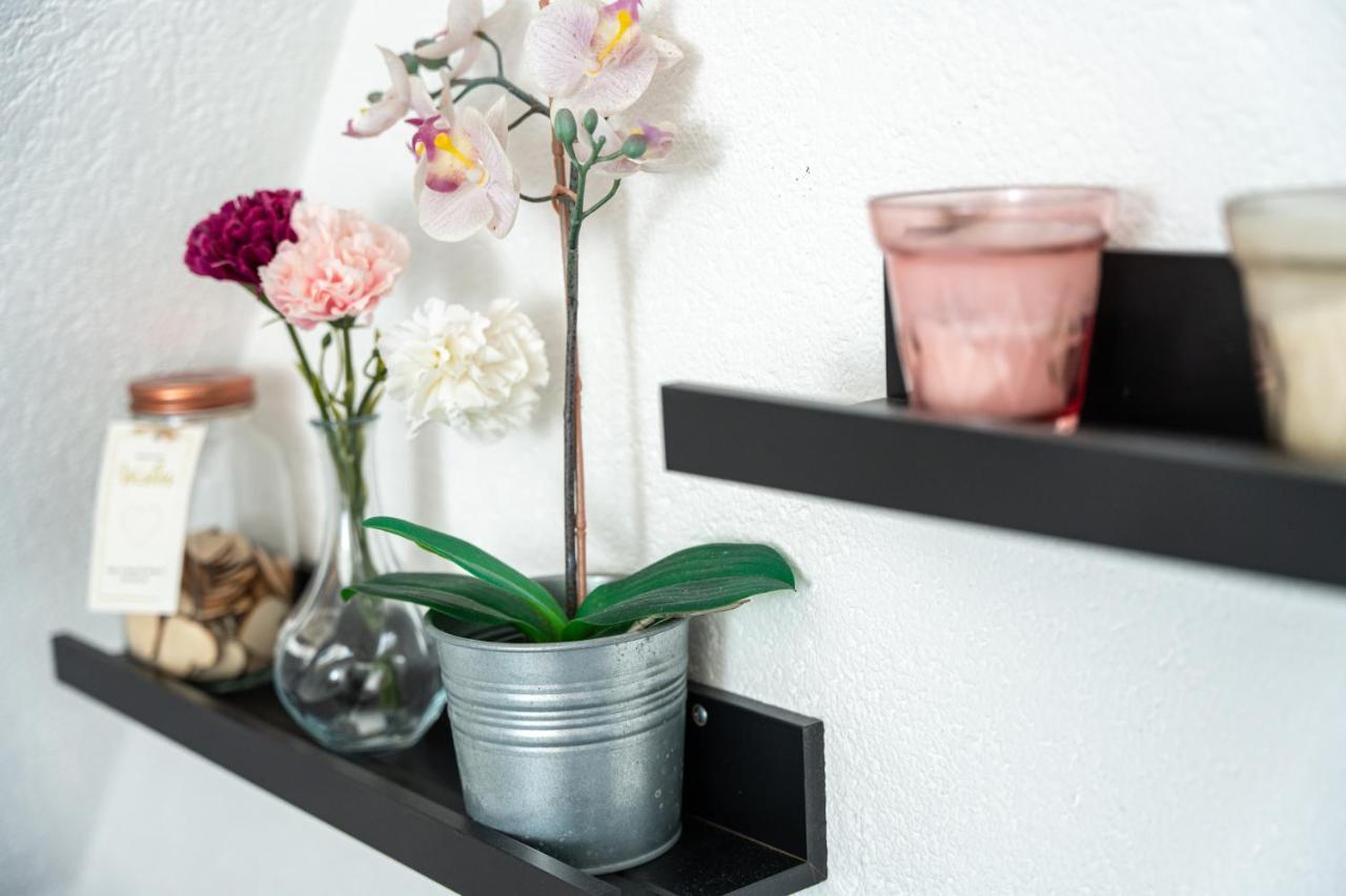 #1 Modernes Zimmer Mit Pool Und Garten メミンゲン エクステリア 写真
